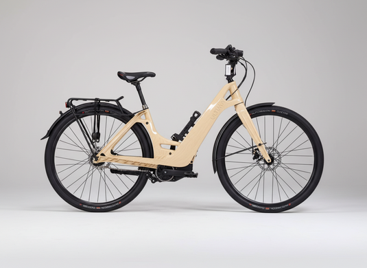 VAE Multipath City Standard moteur VALEO Gen3 Batterie 500 Wh Guidon Ergotec