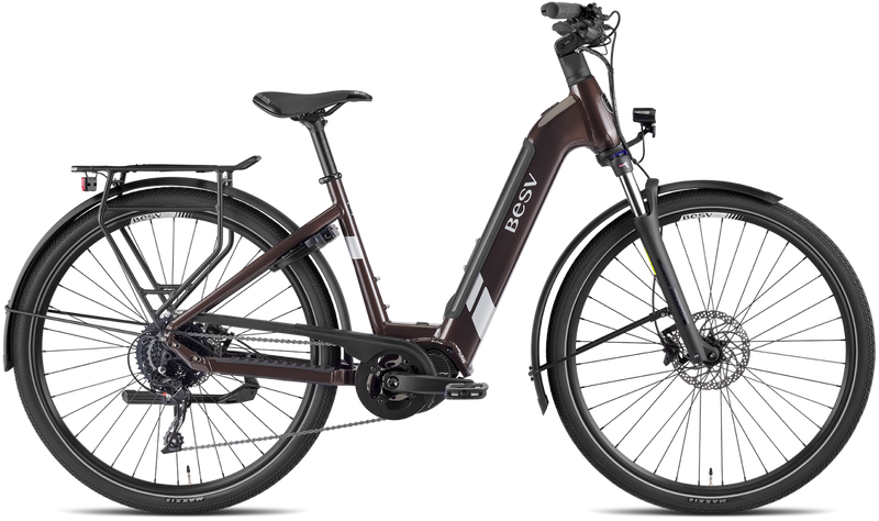 Chargez l'image dans la visionneuse de la galerie, VAE BESV TR 1.3 LTD LS Low Step Umbra Métallique 630 Wh Moteur Shimano
