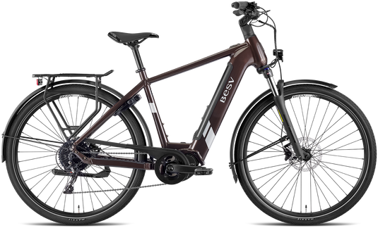 VAE BESV TR 1.3 MY23 SO Step Umbra Métallique 630 Wh Moteur Shimano