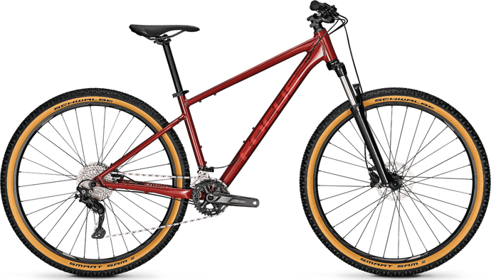 Vélo Semi Rigide FOCUS Whistler 3.7 29