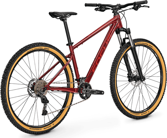 Vélo Semi Rigide FOCUS Whistler 3.7 29