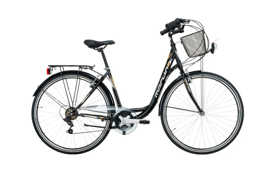 Vélo City Central Park 28
